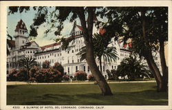 A Glimpse of Hotel del Coronado Postcard