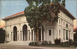 Hawaiian Building Postcard