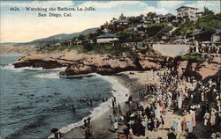 Watching the Bathers, La Jolla San Diego, CA Postcard Postcard