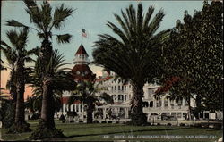 Hotel del Coronado Near San Diego California Postcard Postcard