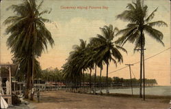 Causeway Edging Panama Bay Postcard