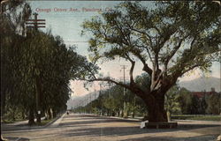 Orange Grove Ave Pasadena, CA Postcard Postcard