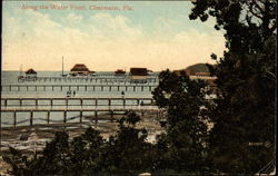 Along the Water Front Clearwater, FL Postcard Postcard