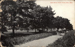 Lake Shore Drive Postcard