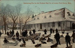 Delivering Fur for the Hudson Bay Co Postcard