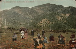 Gathering Poppies in Midwinter California Postcard Postcard