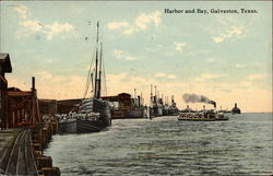 Harbor and Bay Postcard