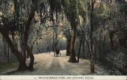 Brackenridge Park San Antonio, TX Postcard Postcard