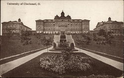 University of Cincinnati Ohio Postcard Postcard