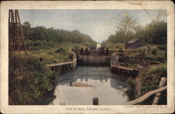 The Dismal Swamp Canal Virginia 1907 Jamestown Exposition Postcard Postcard