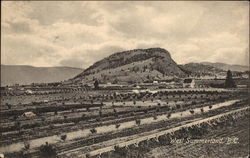 Homes at Mountain Base West Summerland, BC Canada British Columbia Postcard Postcard