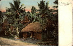 Native Dwelling House Ceylon Southeast Asia Postcard Postcard