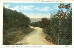 Wide And Easy Curves Of The Taconic Trail Postcard