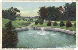 A Vista In Forest Park Springfield, MA Postcard Postcard