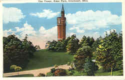 The Tower , Eden Park Postcard