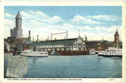 The Grand Trunk Pacific And Colman Ducks Postcard