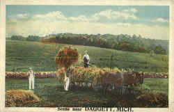 Haying Scene Near Daggett Postcard