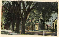 A View Of Elm Street Potsdam, NY Postcard Postcard