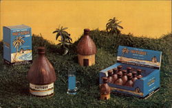 Hutique Liqueur West Palm Beach, FL Postcard Postcard