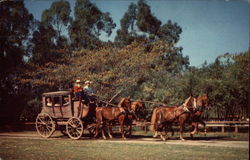 Stage Coach, Knott's Berry Farm Postcard