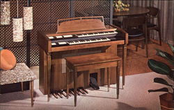 The New Caprice Organ Modern (1970's to Present) Postcard Postcard