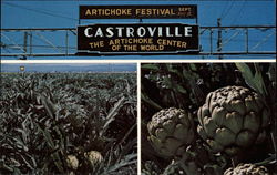 Artichoke Festival Postcard