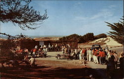 Barbecue Area, Asilomar Hotel and Conference Grounds Pacific Grove, CA Postcard Postcard