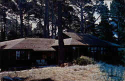 Asilomar, Asilomar Beach State Park Pacific Grove, CA Postcard Postcard