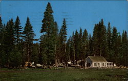 White Wolf Lodge Yosemite National Park, CA Postcard Postcard