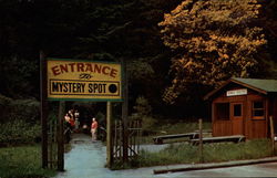 Entrance to The Mystery Spot Santa Cruz, CA Postcard Postcard