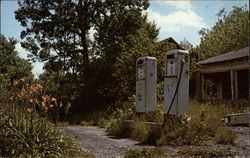 Greetings From _______________ Roadside Postcard Postcard