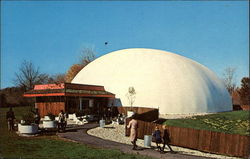 Dinosaur State Park Rocky Hill, CT Postcard Postcard