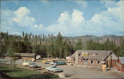 Ice House Resort Pacific House, CA Postcard Postcard