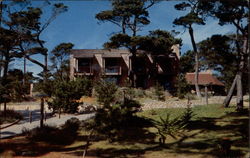 Asilomar Conference Grounds - The View Crescent Postcard