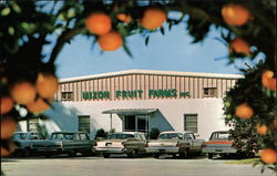 Mixon Fruit Farms Postcard