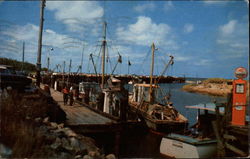 Rock Harbor - Orleans Cape Cod, MA Postcard Postcard