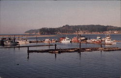 Tulalip Tribes Totem Beach Marina Postcard