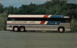 Greyhound Lines Buses Postcard Postcard