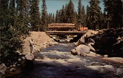 Logging Truck Crossing River in the Forest California Postcard Postcard