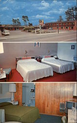 City Motel Postcard