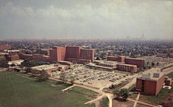 Ohio State University Postcard