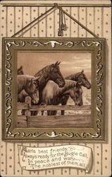 Portrait of 5 Horses Postcard