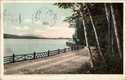 Pine Hurst Road Lower Saranac Lake New York Postcard Postcard