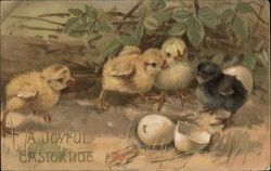 A Joyful Eastertide - Chicks With Chicks Postcard Postcard