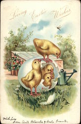 Loving Easter Wishes Postcard