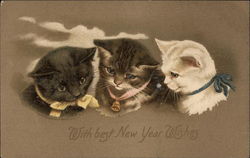 With Best New Year Wishes - Kittens Postcard