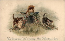 We Bring You Love's Message This Valentine's Day - Kittens Postcard