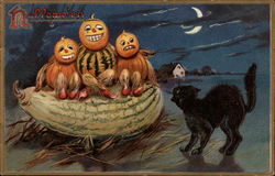 Halloween Postcard Postcard