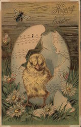 Chick hatched from his egg Postcard