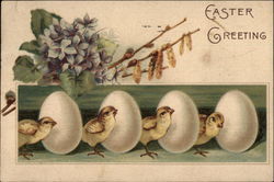 Easter Greeting With Chicks Postcard Postcard